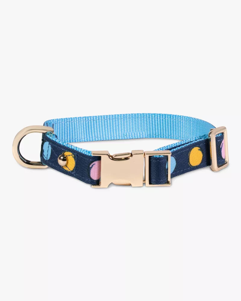 coleira para animais de estimação com estampa de bolinhas em aquarela tamanho pm azul marinho.