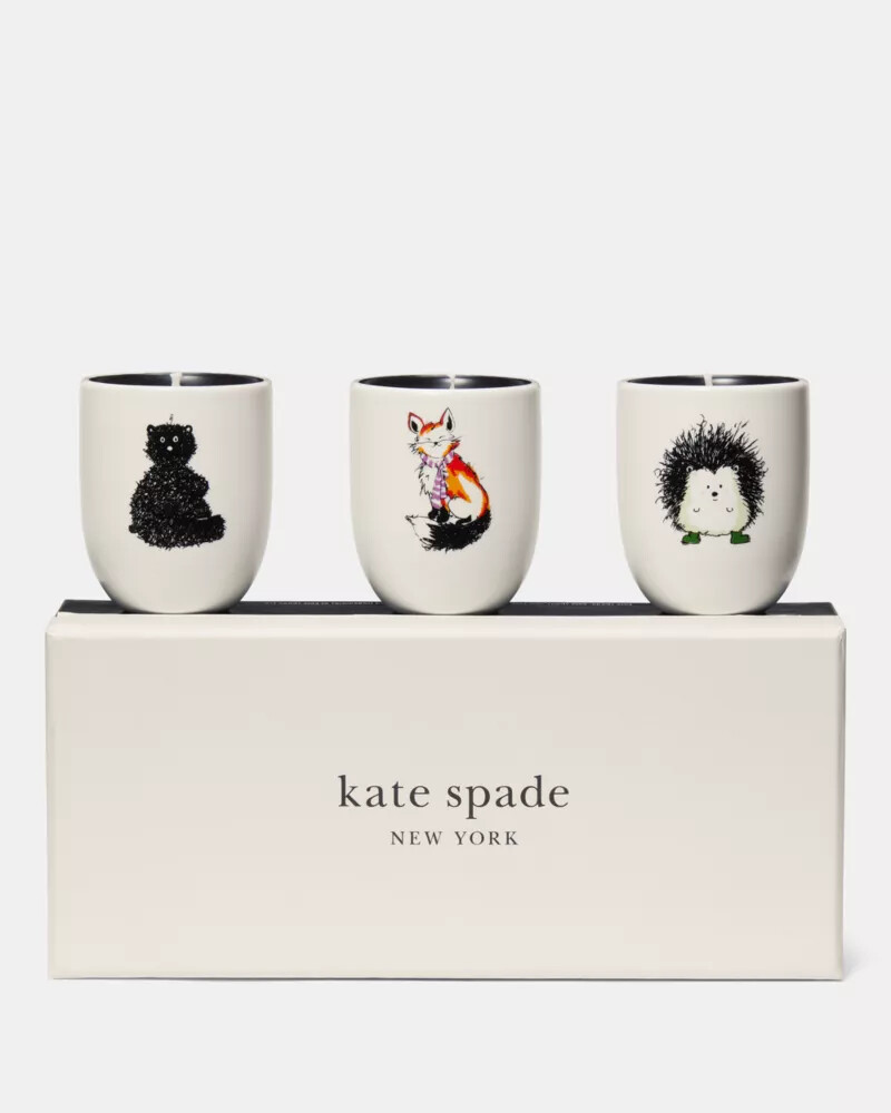 conjunto de velas critter collection multicolorido