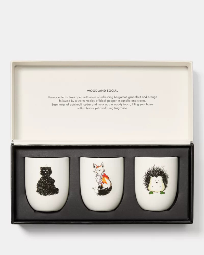 conjunto de velas critter collection multicolorido