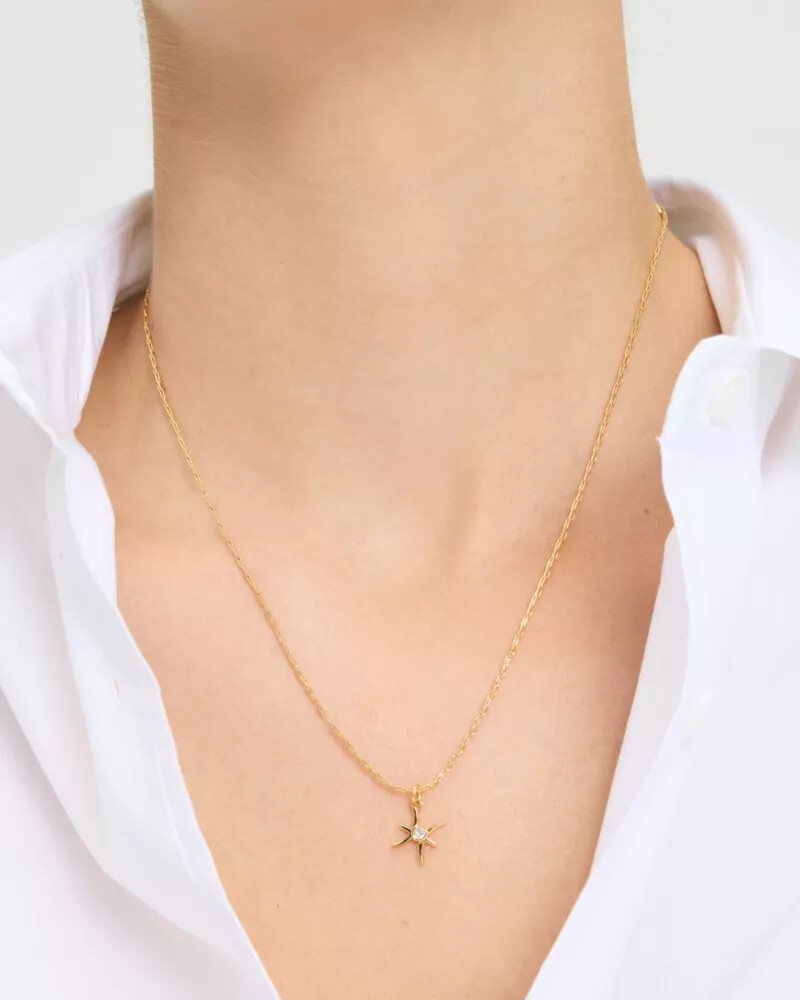 qual É o seu signo peixes mini pingente multicolorido