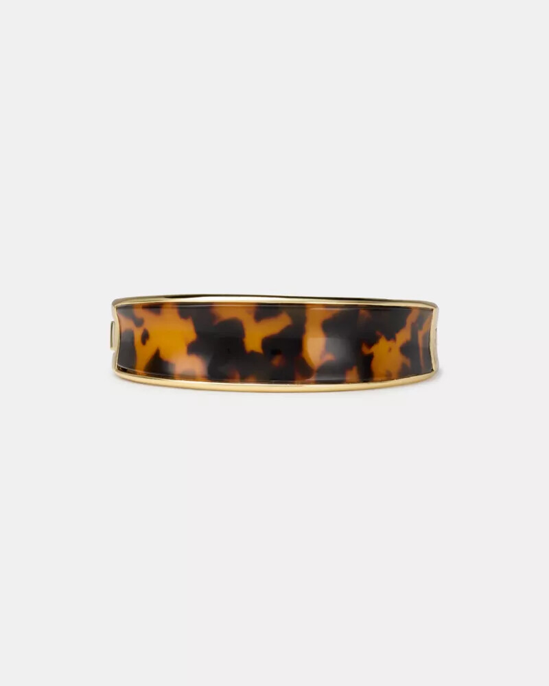 tartaruga com pulseira ousada.