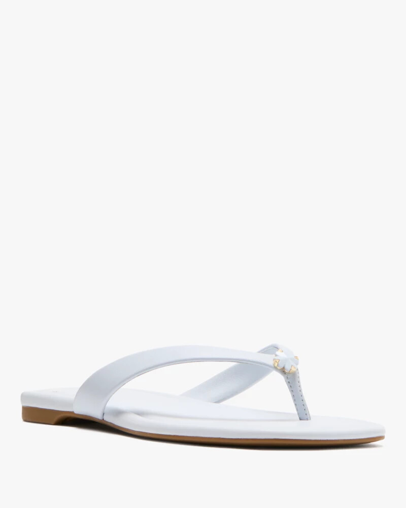 chinelo flor de espadas leite de taro