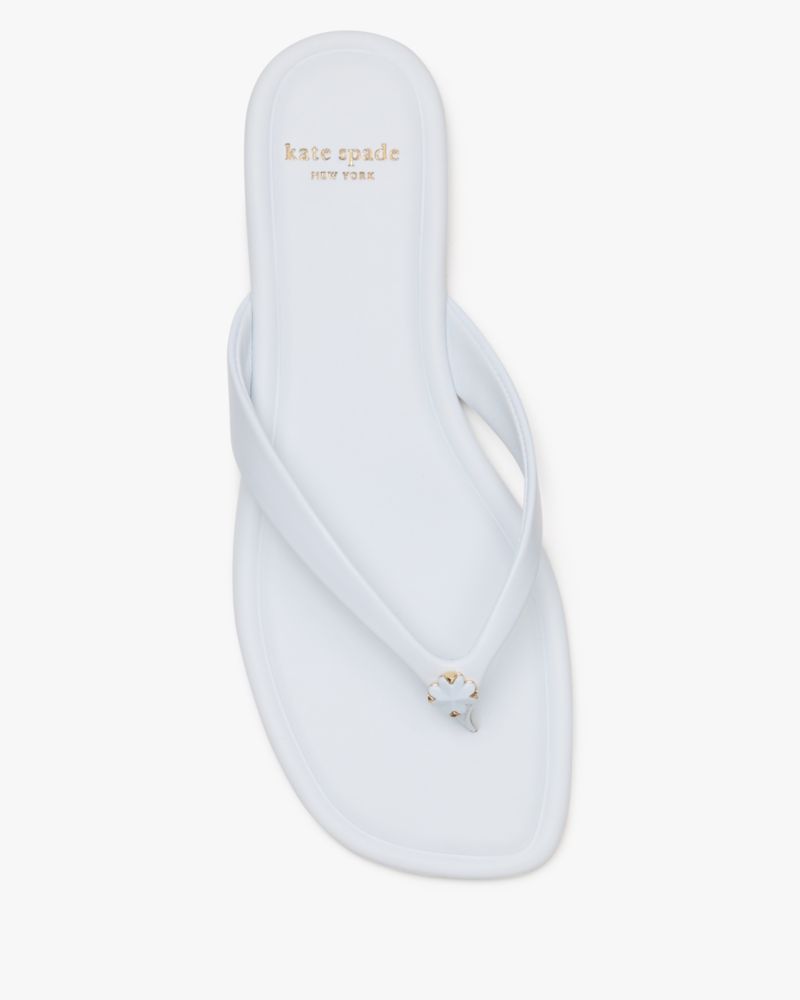 chinelo flor de espadas leite de taro