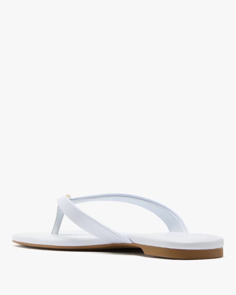 chinelo flor de espadas leite de taro