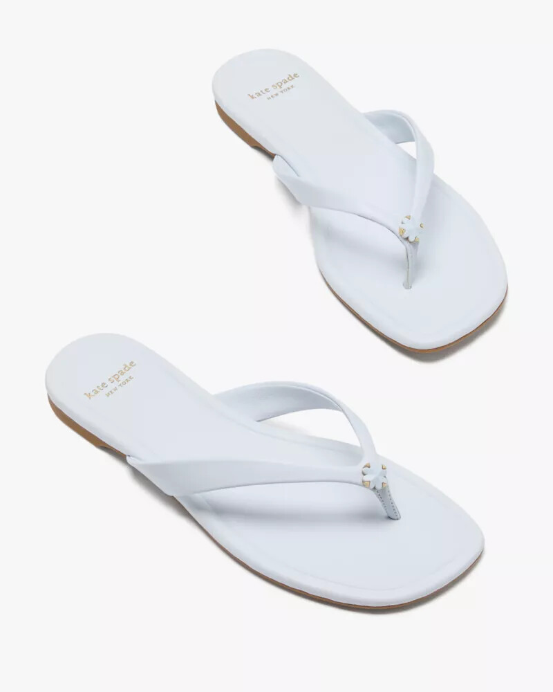 chinelo flor de espadas leite de taro